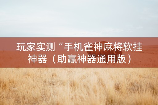 玩家实测“手机雀神麻将软挂神器（助赢神器通用版）