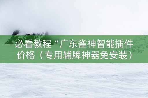 必看教程“广东雀神智能插件价格（专用辅牌神器免安装）