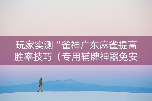 玩家实测“雀神广东麻雀提高胜率技巧（专用辅牌神器免安装）