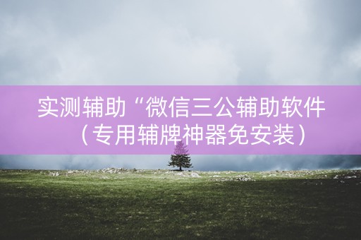 实测辅助“微信三公辅助软件（专用辅牌神器免安装）
