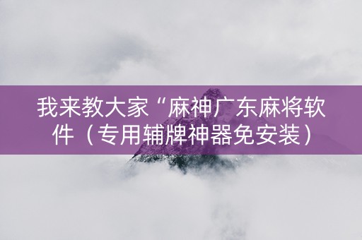 我来教大家“麻神广东麻将软件（专用辅牌神器免安装）