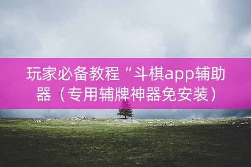 玩家必备教程“斗棋app辅助器（专用辅牌神器免安装）