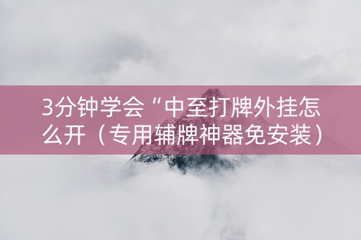 3分钟学会“中至打牌外挂怎么开（专用辅牌神器免安装）