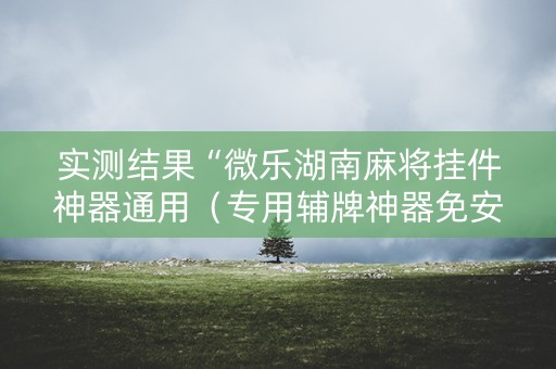 实测结果“微乐湖南麻将挂件神器通用（专用辅牌神器免安装）