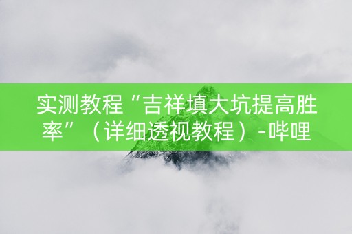 实测教程“吉祥填大坑提高胜率”（详细透视教程）-哔哩哔哩