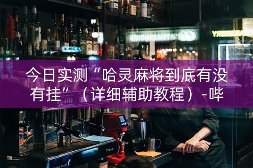 今日实测“哈灵麻将到底有没有挂”（详细辅助教程）-哔哩哔哩