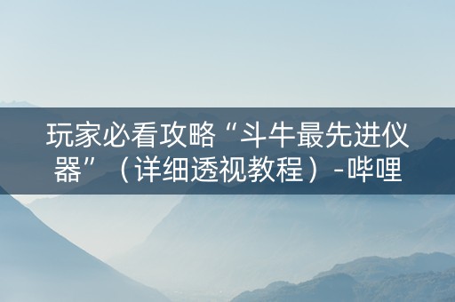 玩家必看攻略“斗牛最先进仪器”（详细透视教程）-哔哩哔哩