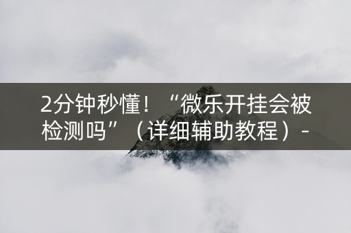 2分钟秒懂！“微乐开挂会被检测吗”（详细辅助教程）-哔哩哔哩