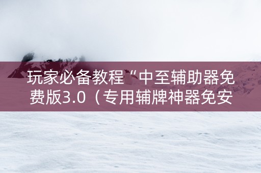 玩家必备教程“中至辅助器免费版3.0（专用辅牌神器免安装）
