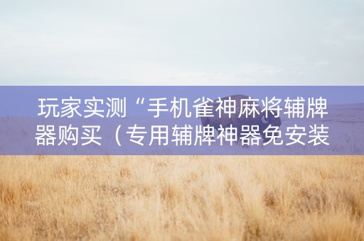玩家实测“手机雀神麻将辅牌器购买（专用辅牌神器免安装）
