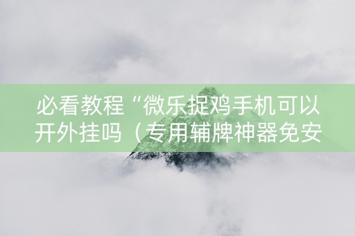 必看教程“微乐捉鸡手机可以开外挂吗（专用辅牌神器免安装）