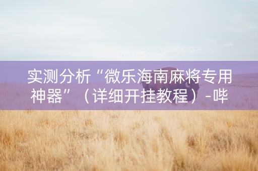 实测分析“微乐海南麻将专用神器”（详细开挂教程）-哔哩哔哩