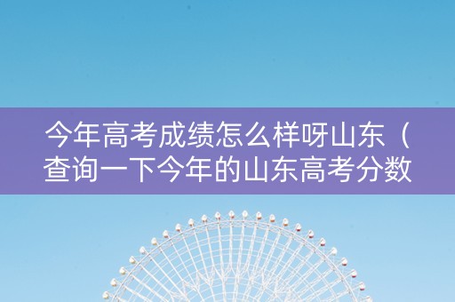 今年高考成绩怎么样呀山东（查询一下今年的山东高考分数线是多少）