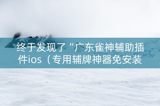终于发现了“广东雀神辅助插件ios（专用辅牌神器免安装）