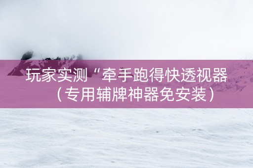 玩家实测“牵手跑得快透视器（专用辅牌神器免安装）