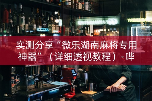 实测分享“微乐湖南麻将专用神器”（详细透视教程）-哔哩哔哩