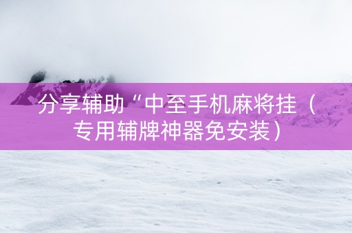 分享辅助“中至手机麻将挂（专用辅牌神器免安装）