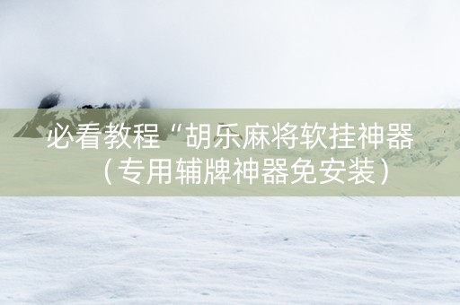 必看教程“胡乐麻将软挂神器（专用辅牌神器免安装）