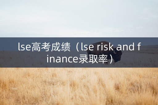 lse高考成绩（lse risk and finance录取率）