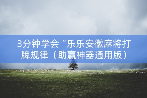 3分钟学会“乐乐安徽麻将打牌规律（助赢神器通用版）