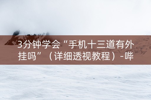 3分钟学会“手机十三道有外挂吗”（详细透视教程）-哔哩哔哩