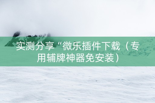 实测分享“微乐插件下载（专用辅牌神器免安装）