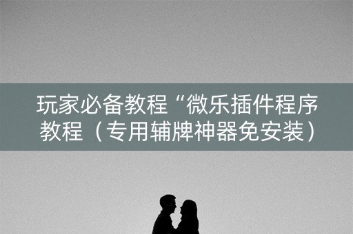 玩家必备教程“微乐插件程序教程（专用辅牌神器免安装）