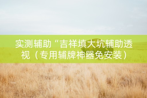 实测辅助“吉祥填大坑辅助透视（专用辅牌神器免安装）