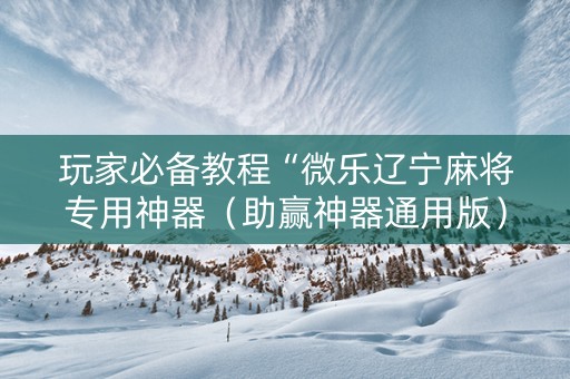 玩家必备教程“微乐辽宁麻将专用神器（助赢神器通用版）