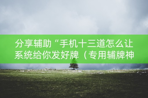 分享辅助“手机十三道怎么让系统给你发好牌（专用辅牌神器免安装）