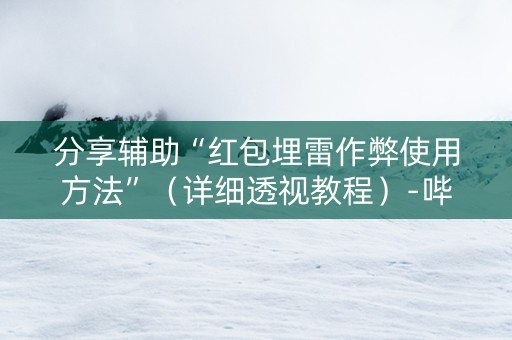 分享辅助“红包埋雷作弊使用方法”（详细透视教程）-哔哩哔哩