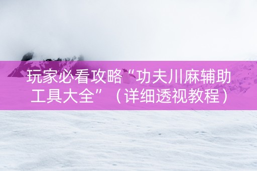 玩家必看攻略“功夫川麻辅助工具大全”（详细透视教程）-哔哩哔哩