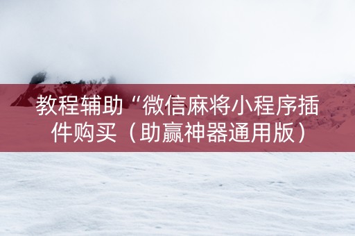 教程辅助“微信麻将小程序插件购买（助赢神器通用版）