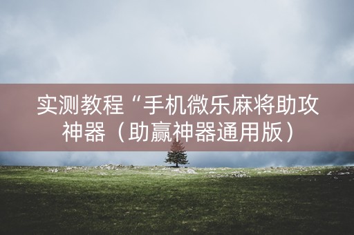 实测教程“手机微乐麻将助攻神器（助赢神器通用版）