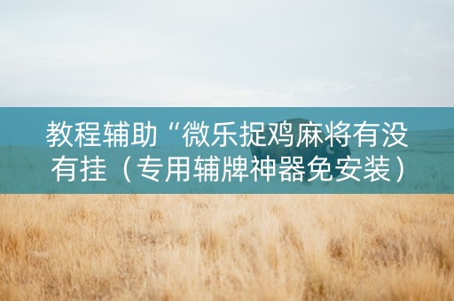 教程辅助“微乐捉鸡麻将有没有挂（专用辅牌神器免安装）
