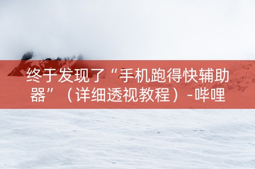 终于发现了“手机跑得快辅助器”（详细透视教程）-哔哩哔哩