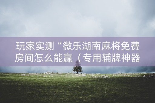 玩家实测“微乐湖南麻将免费房间怎么能赢（专用辅牌神器免安装）