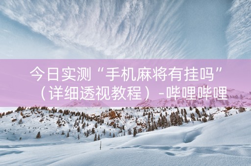今日实测“手机麻将有挂吗”（详细透视教程）-哔哩哔哩