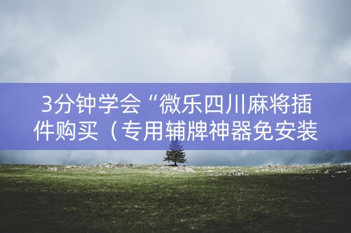 3分钟学会“微乐四川麻将插件购买（专用辅牌神器免安装）