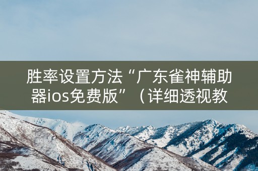 胜率设置方法“广东雀神辅助器ios免费版”（详细透视教程）-哔哩哔哩