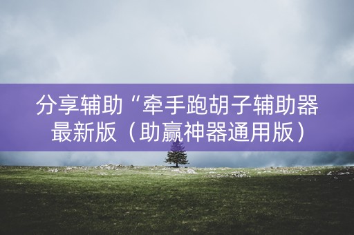 分享辅助“牵手跑胡子辅助器最新版（助赢神器通用版）