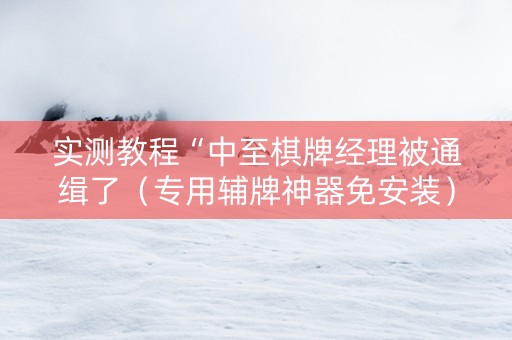 实测教程“中至棋牌经理被通缉了（专用辅牌神器免安装）