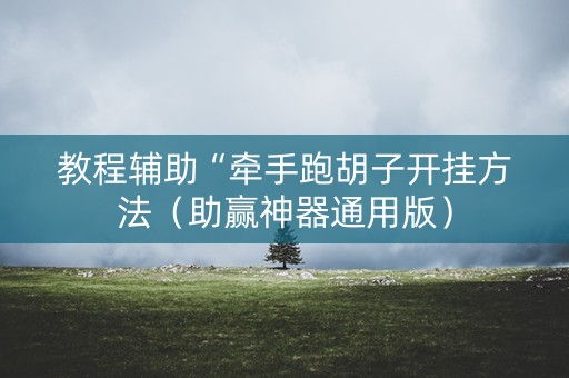 教程辅助“牵手跑胡子开挂方法（助赢神器通用版）
