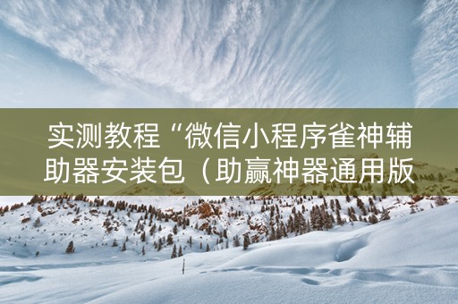 实测教程“微信小程序雀神辅助器安装包（助赢神器通用版）
