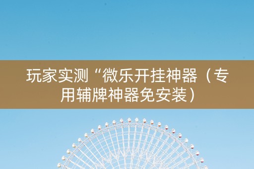 玩家实测“微乐开挂神器（专用辅牌神器免安装）