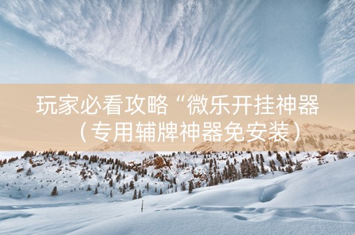 玩家必看攻略“微乐开挂神器（专用辅牌神器免安装）