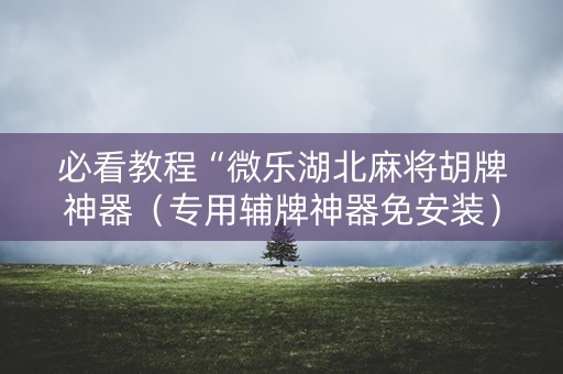 必看教程“微乐湖北麻将胡牌神器（专用辅牌神器免安装）