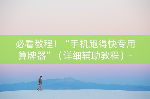 必看教程！“手机跑得快专用算牌器”（详细辅助教程）-哔哩哔哩