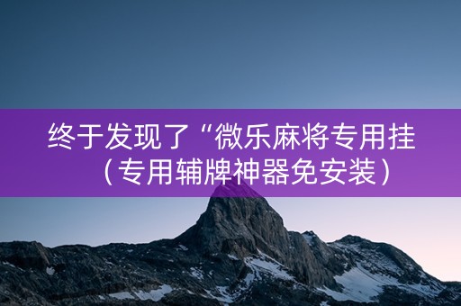 终于发现了“微乐麻将专用挂（专用辅牌神器免安装）