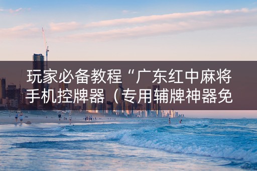 玩家必备教程“广东红中麻将手机控牌器（专用辅牌神器免安装）